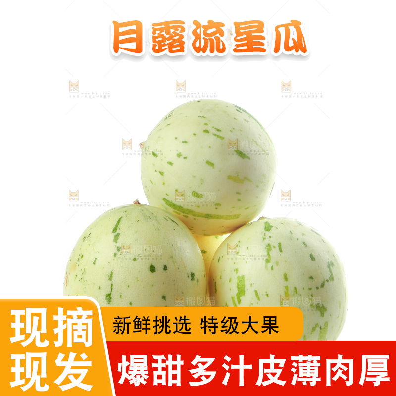 白底上的月露流星蜜瓜