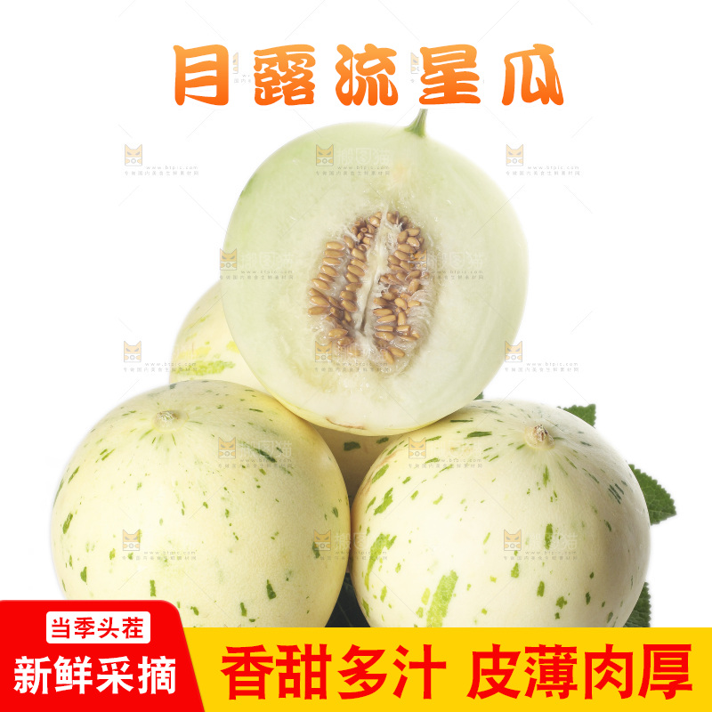白底上的月露流星蜜瓜