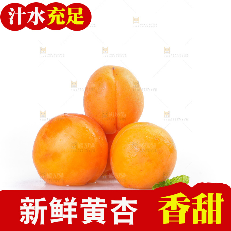 白底上的大黄杏