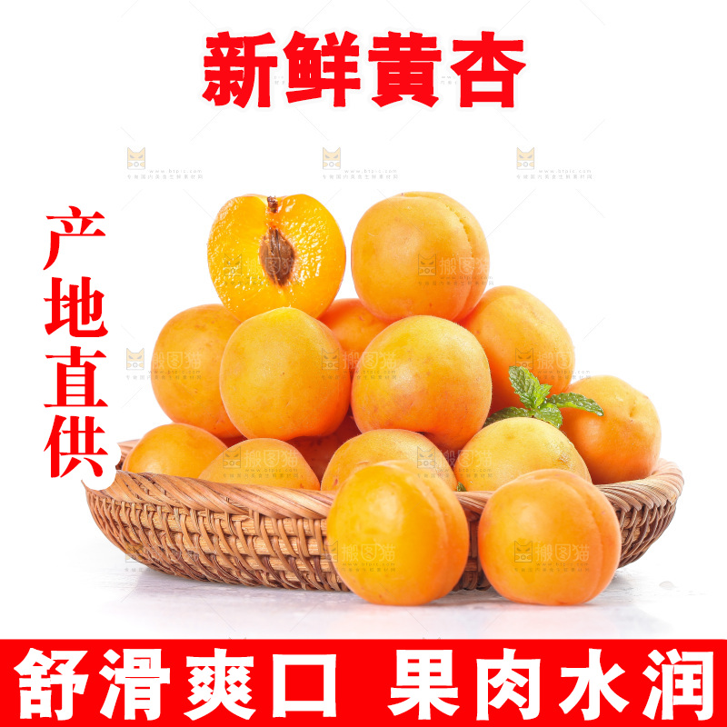 白底上的大黄杏