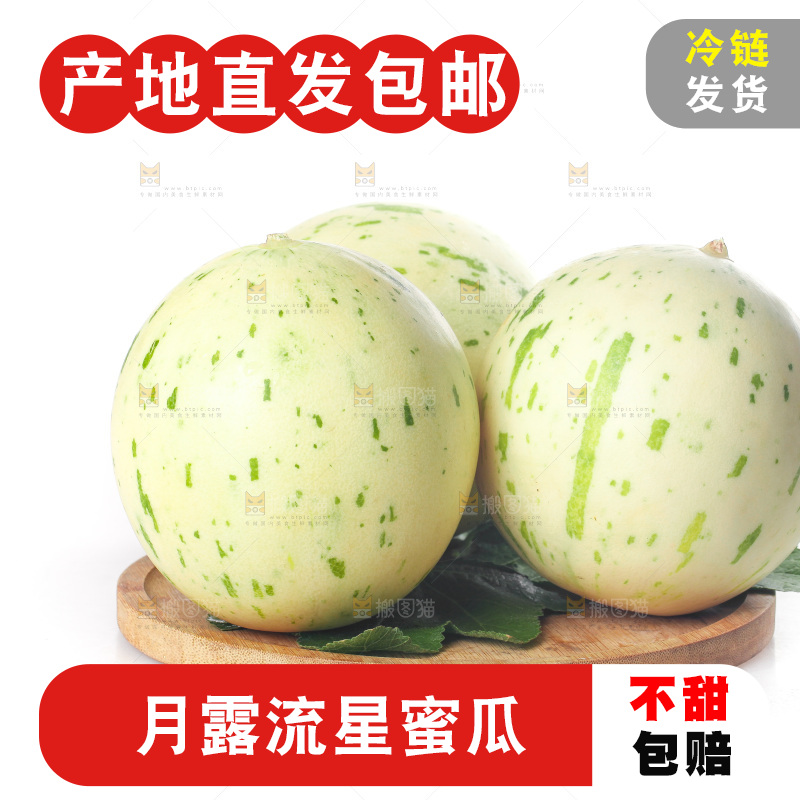 白底上的月露流星蜜瓜