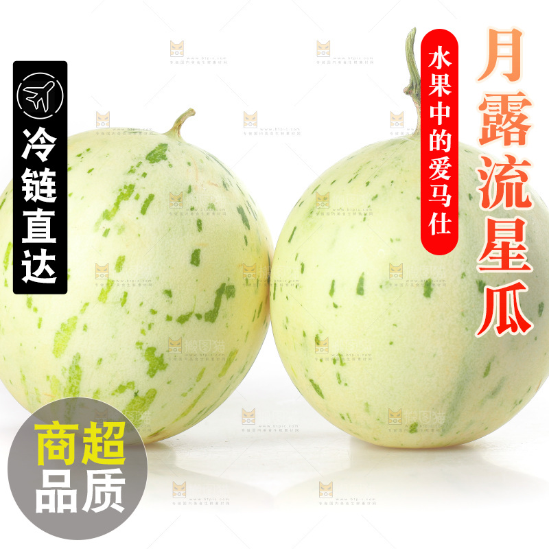 白底上的月露流星蜜瓜