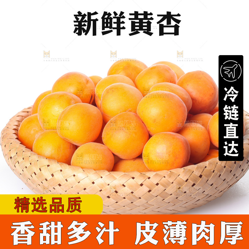 白底上的大黄杏