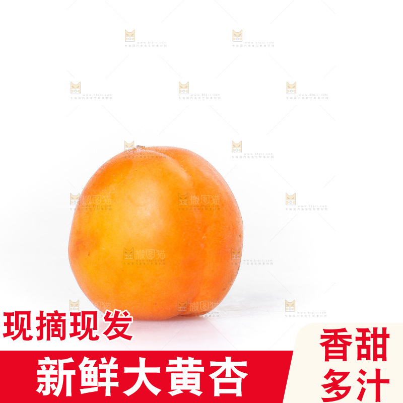 白底上的大黄杏