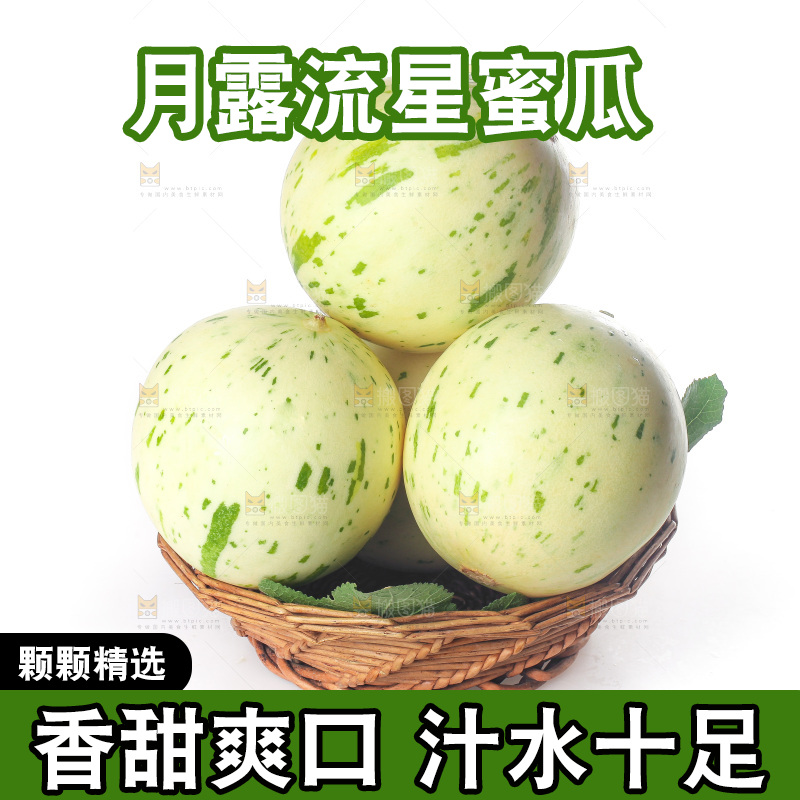 白底上的月露流星蜜瓜