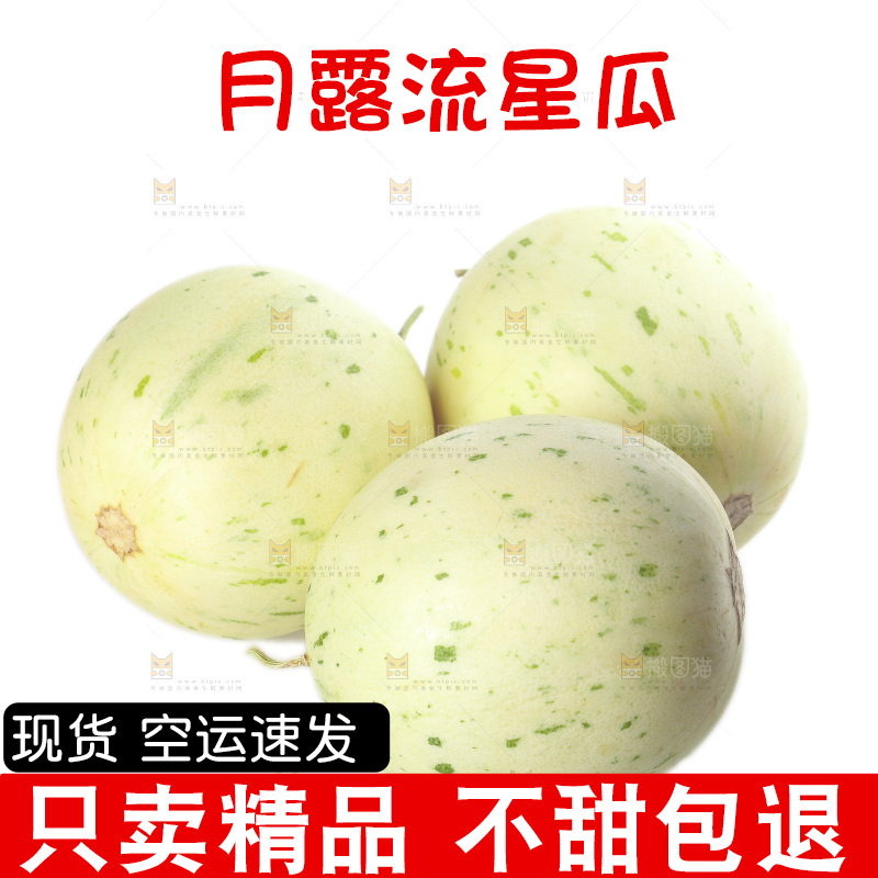 白底上的月露流星蜜瓜
