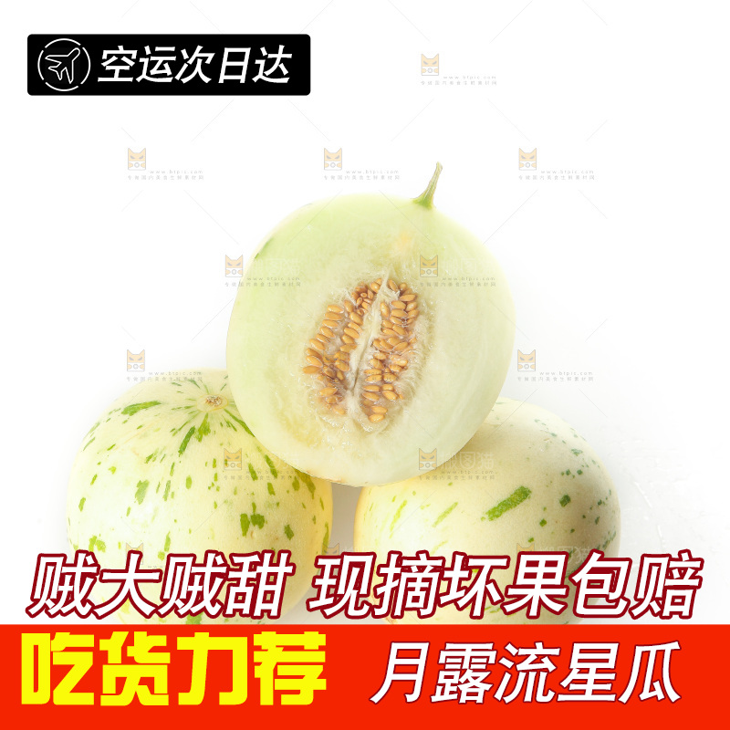白底上的月露流星蜜瓜