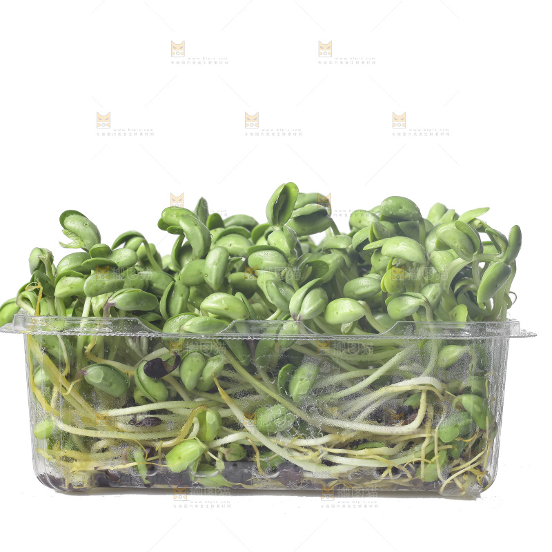 白底上的黑豆芽