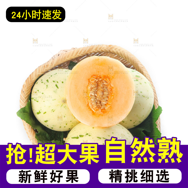 白底上的月露流星蜜瓜