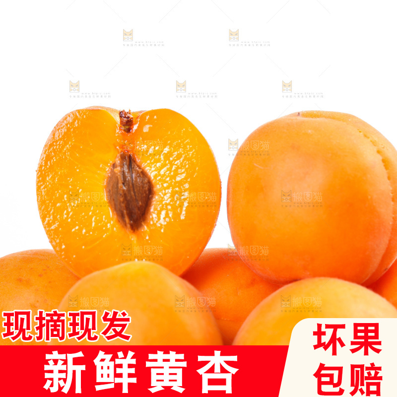 白底上的大黄杏