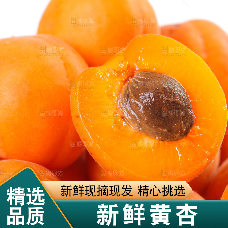 白底上的大黄杏