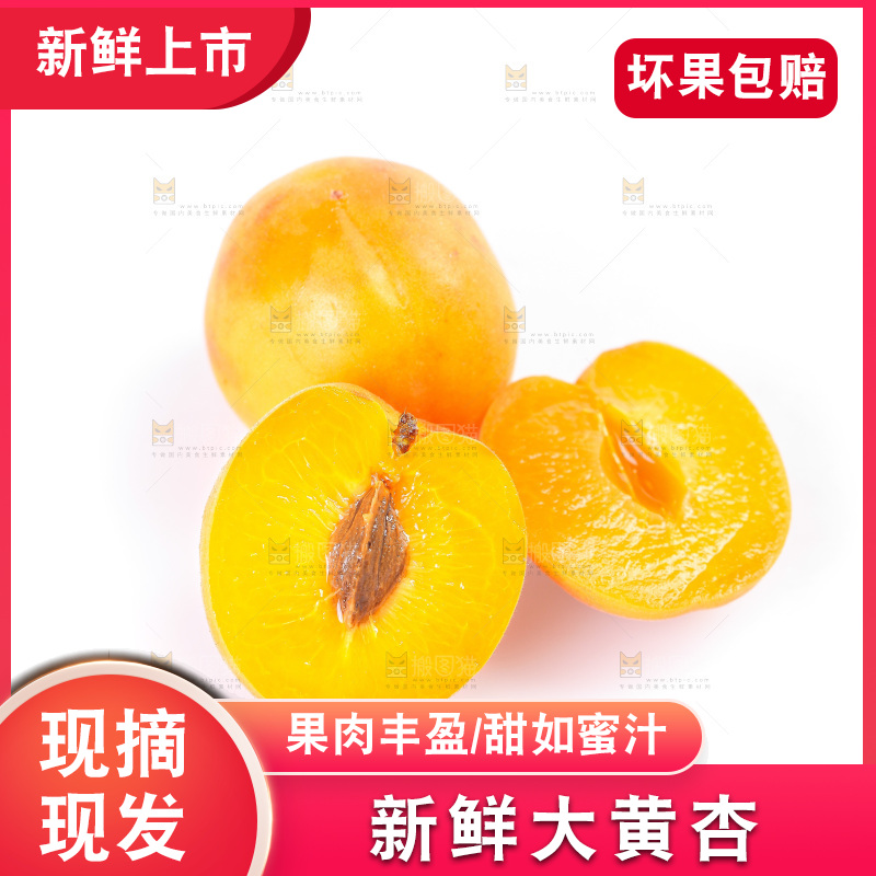 白底上的大黄杏