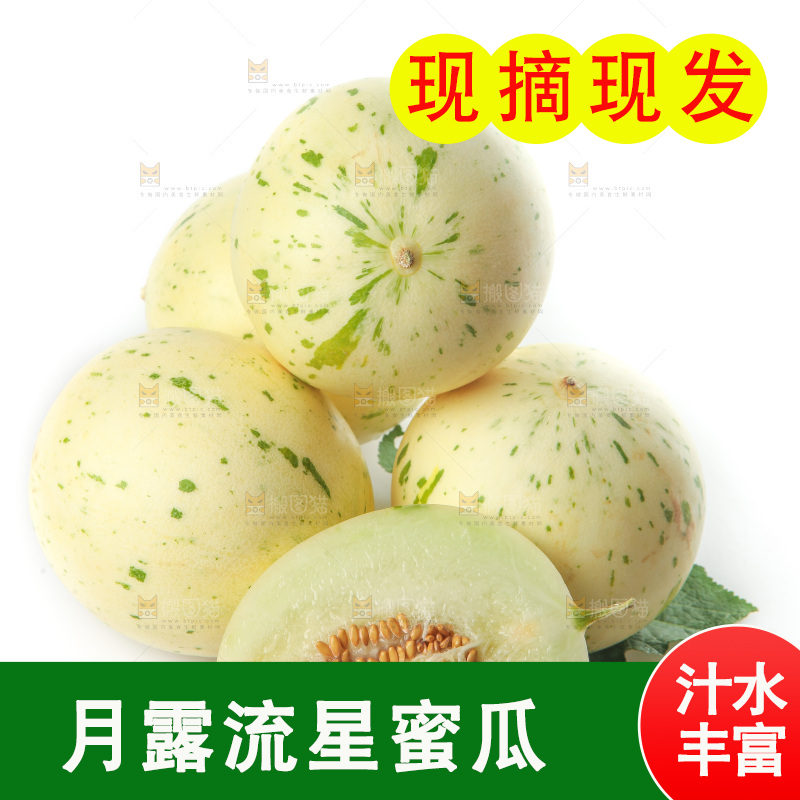 白底上的月露流星蜜瓜
