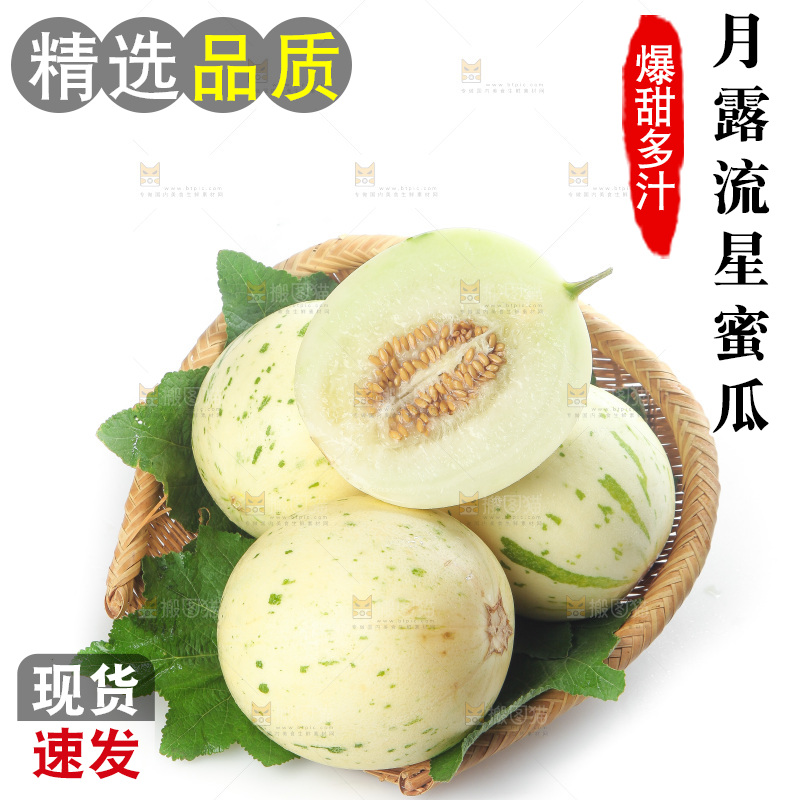 白底上的月露流星蜜瓜