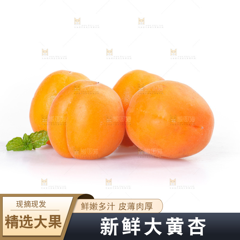 白底上的大黄杏