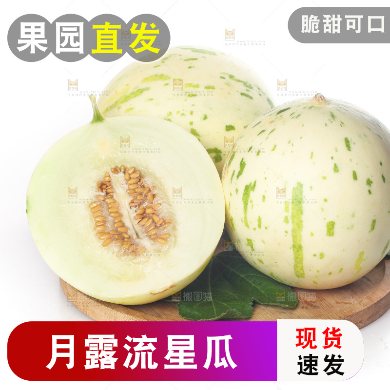 白底上的月露流星蜜瓜