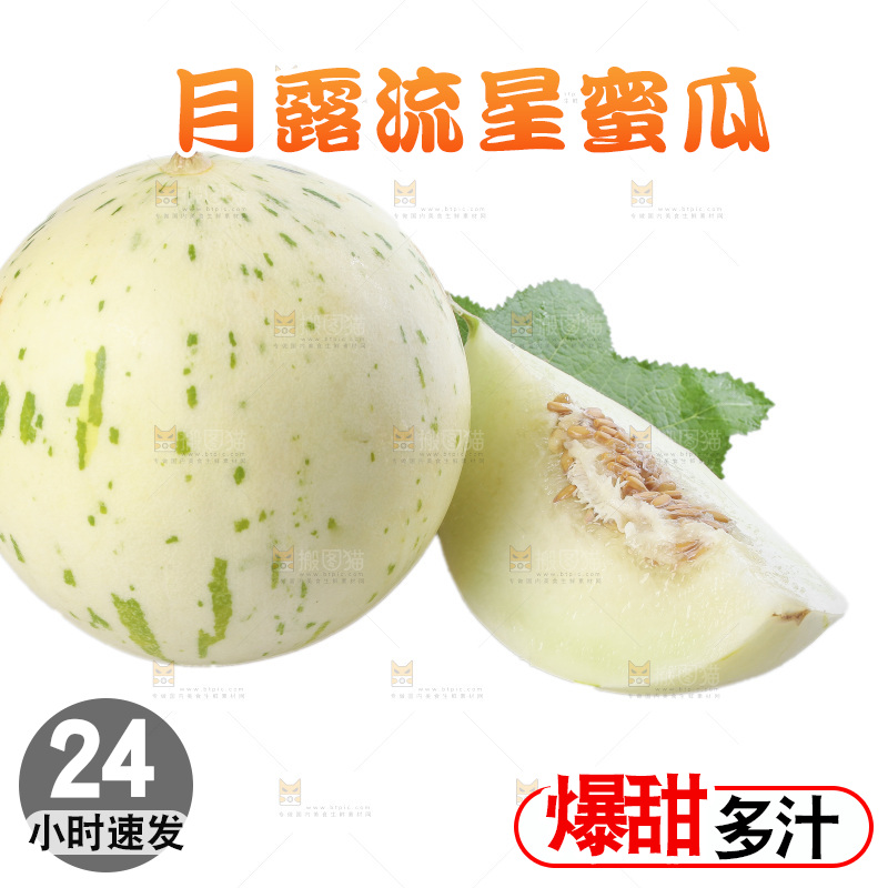 白底上的月露流星蜜瓜