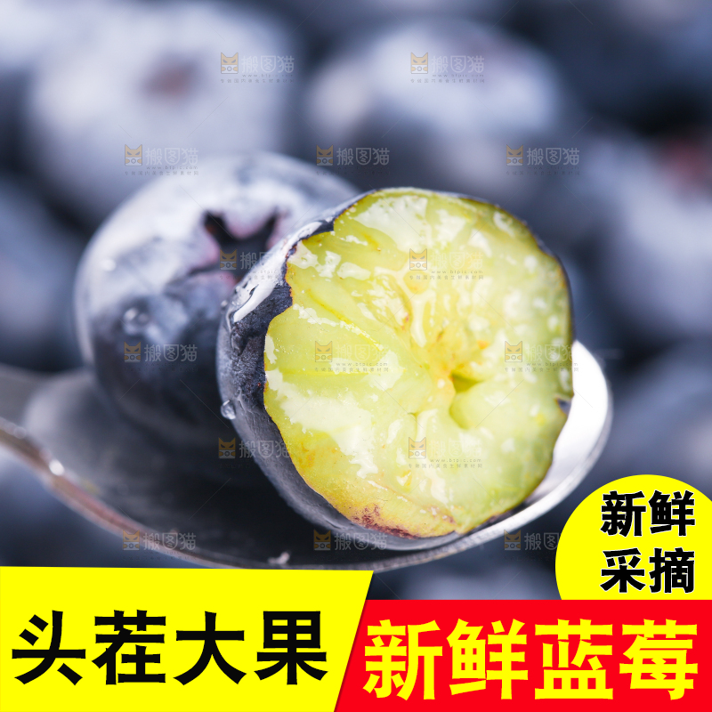 浅底上的怡颗莓