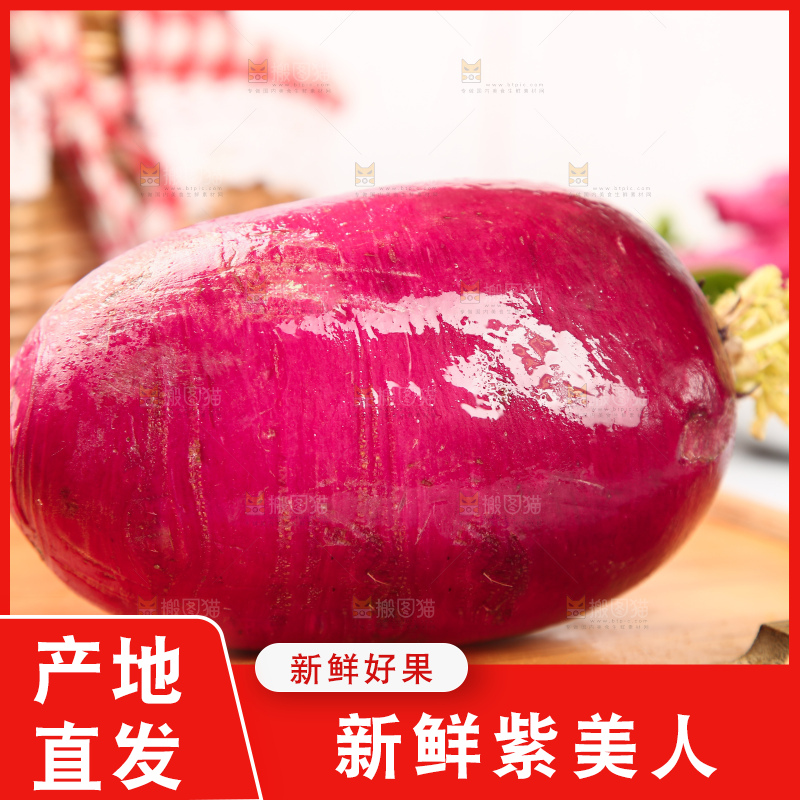 浅底上的紫美人萝卜