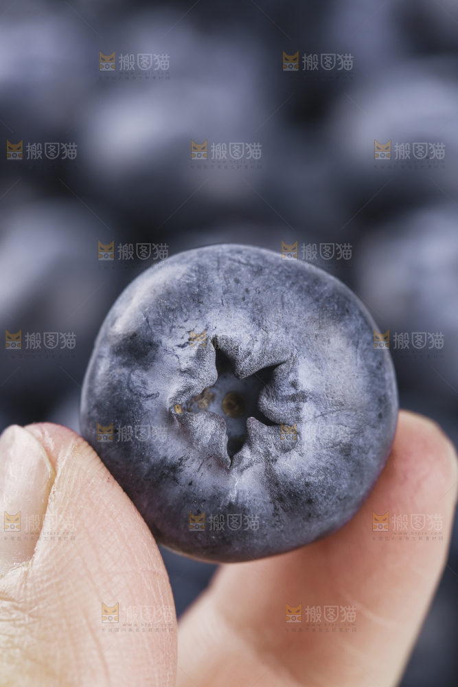 浅底上的怡颗莓