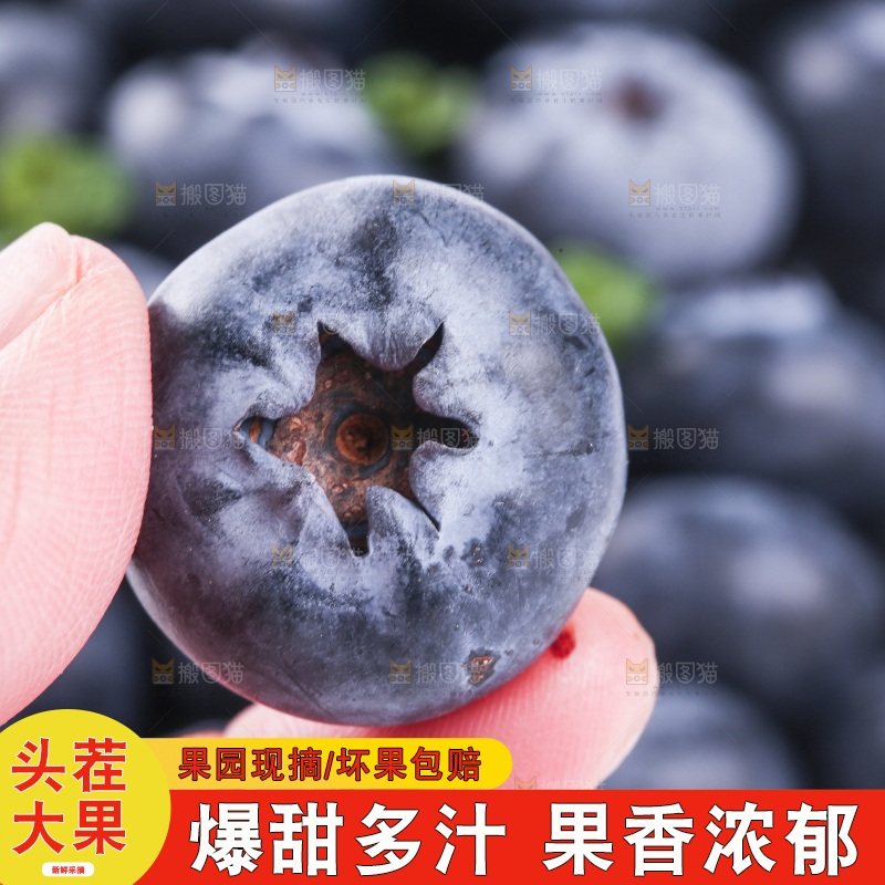 浅底上的怡颗莓