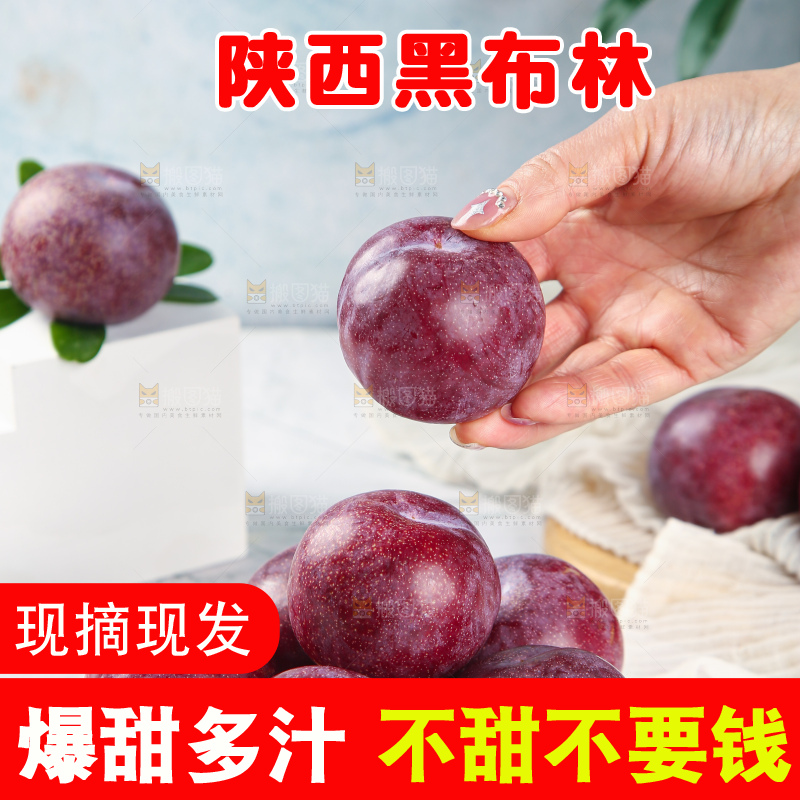 浅底上的黑布林李子