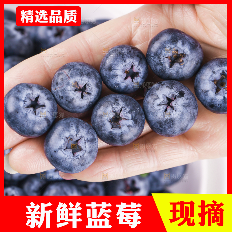 浅底上的怡颗莓