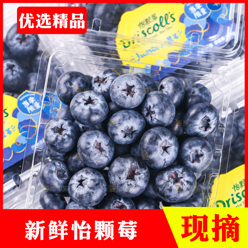 浅底上的怡颗莓