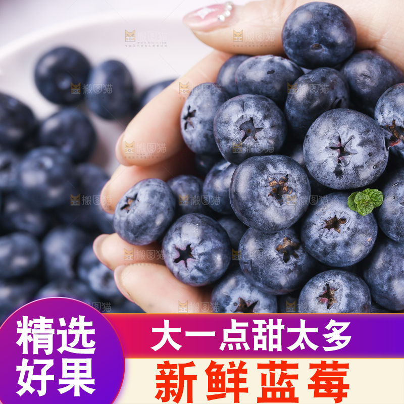 浅底上的怡颗莓