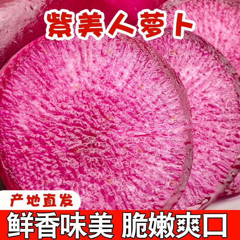 浅底上的紫美人萝卜