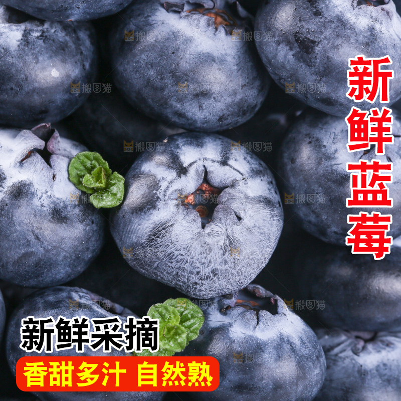 浅底上的怡颗莓
