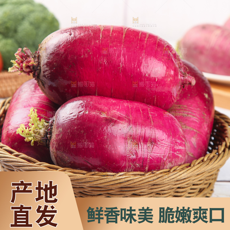 浅底上的紫美人萝卜