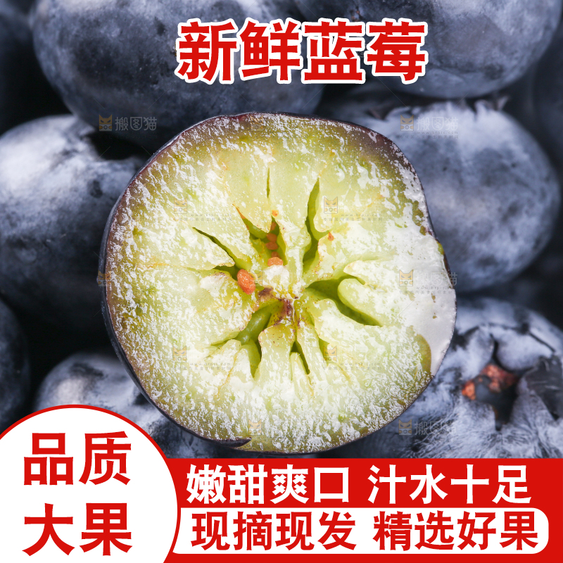 浅底上的怡颗莓