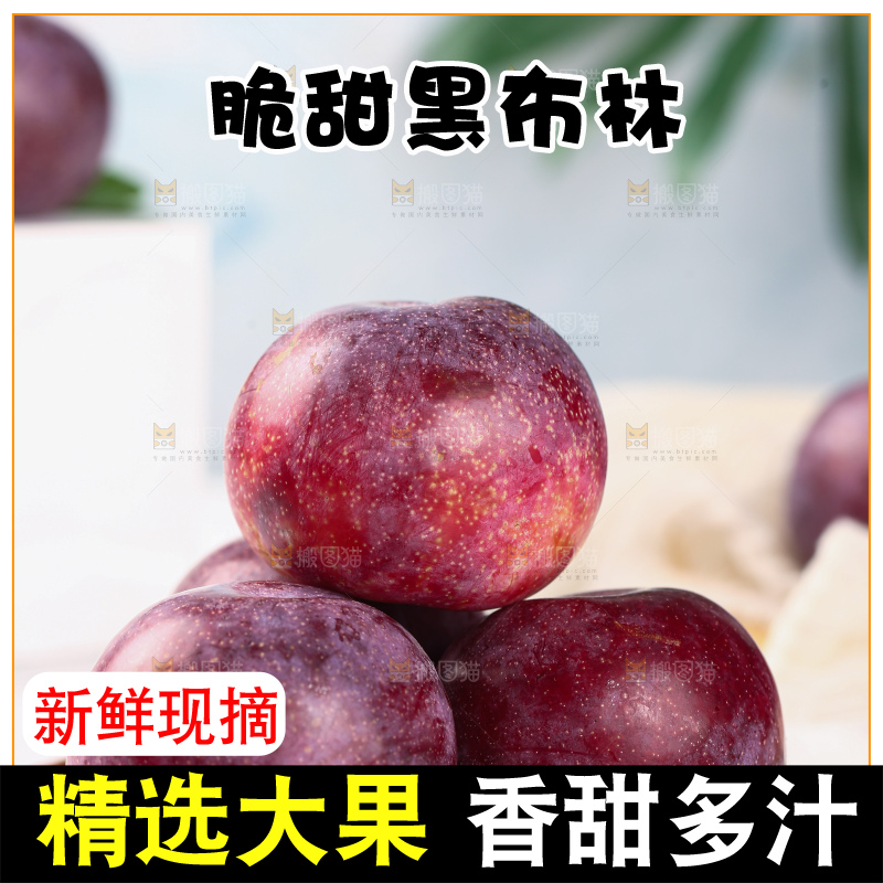 浅底上的黑布林李子