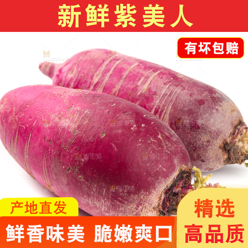 白底上的紫美人萝卜
