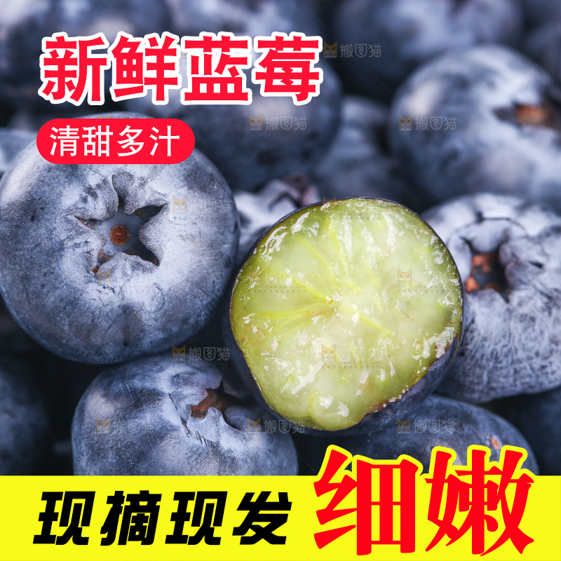 浅底上的怡颗莓