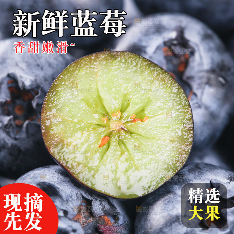 浅底上的怡颗莓