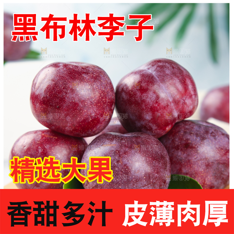 浅底上的黑布林李子