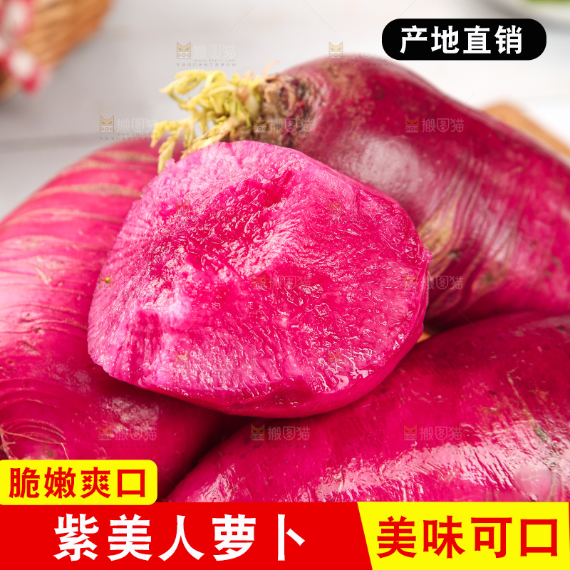 浅底上的紫美人萝卜