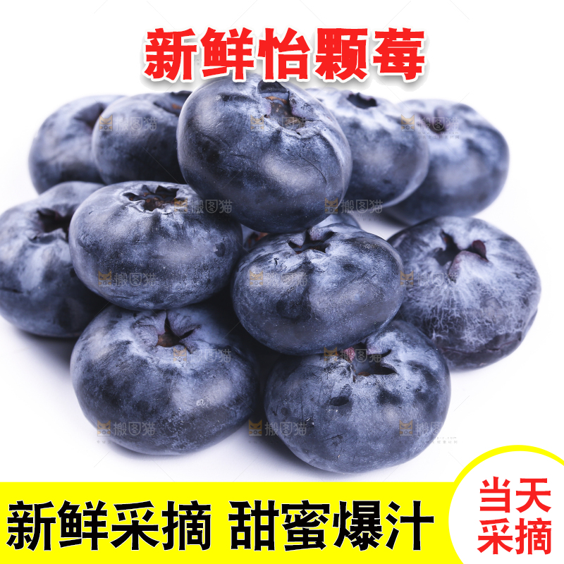 白底上的怡颗莓
