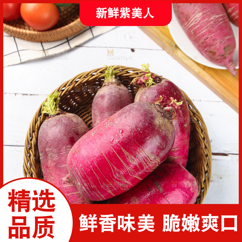 浅底上的紫美人萝卜