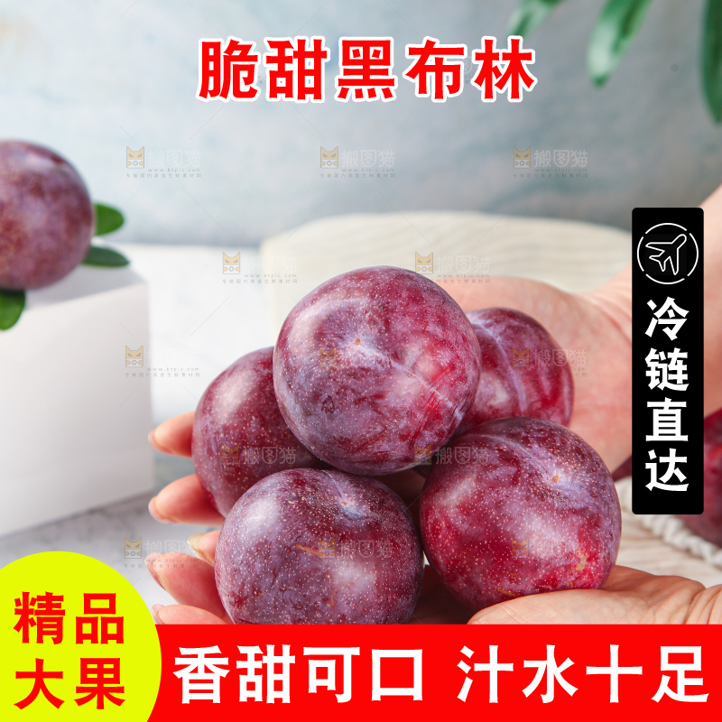 浅底上的黑布林李子