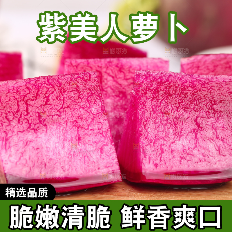 浅底上的紫美人萝卜