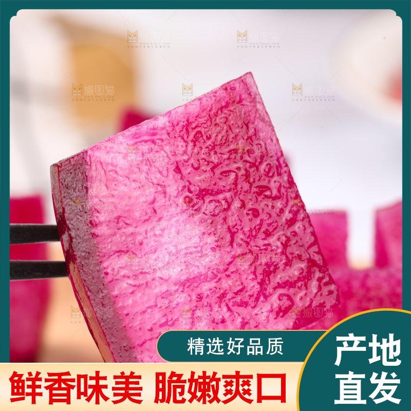 浅底上的紫美人萝卜