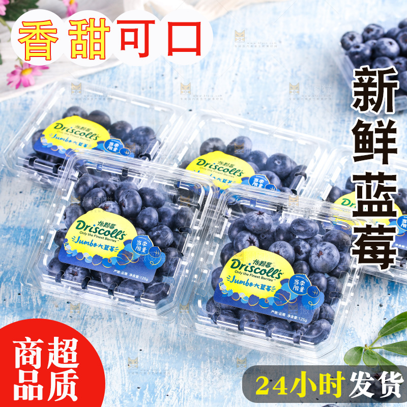 浅底上的怡颗莓