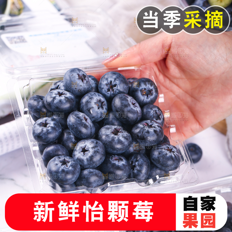 浅底上的怡颗莓
