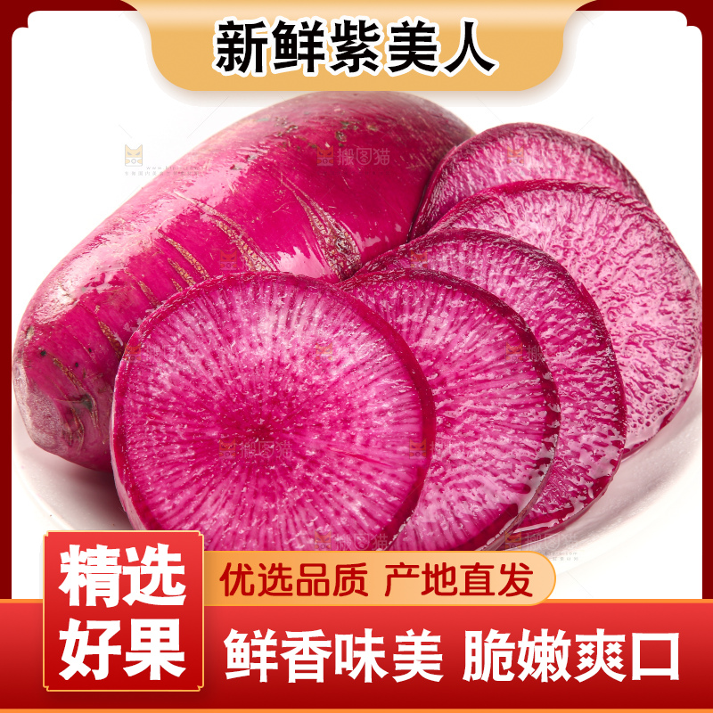 白底上的紫美人萝卜