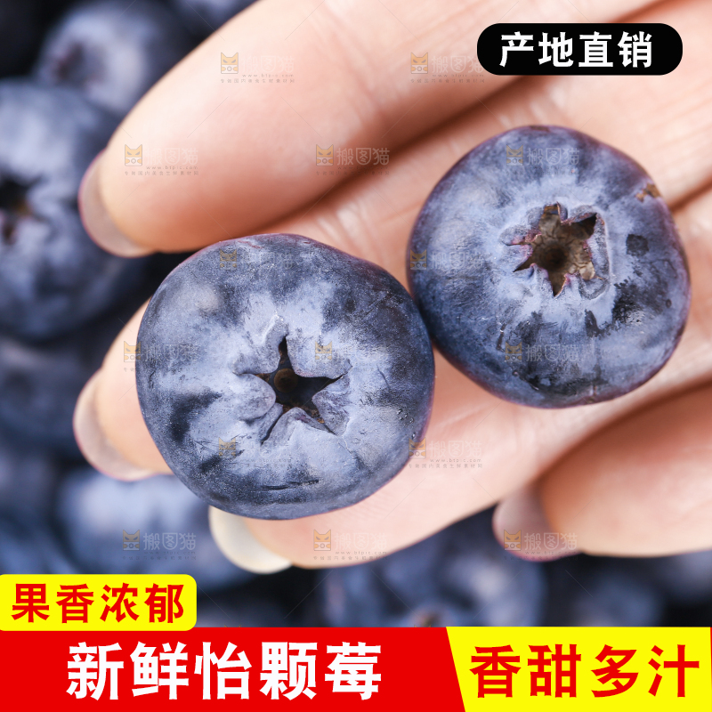 浅底上的怡颗莓