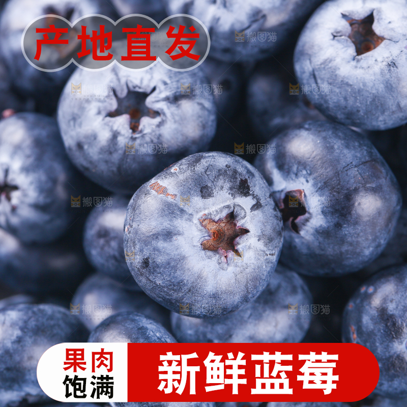 浅底上的怡颗莓