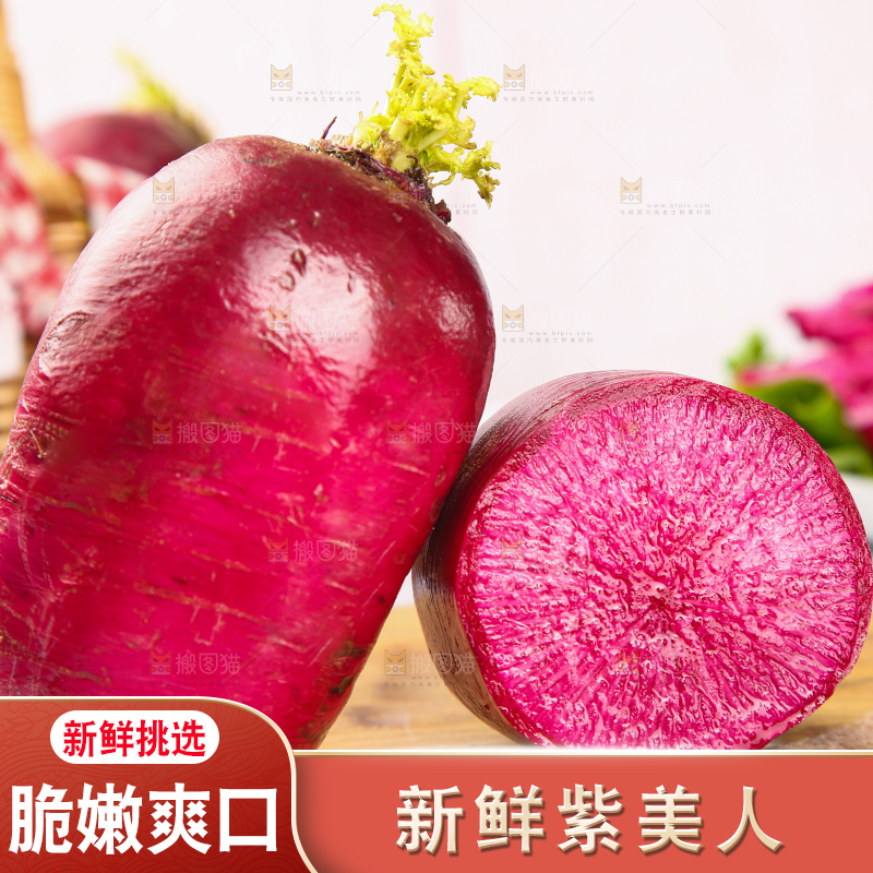 浅底上的紫美人萝卜